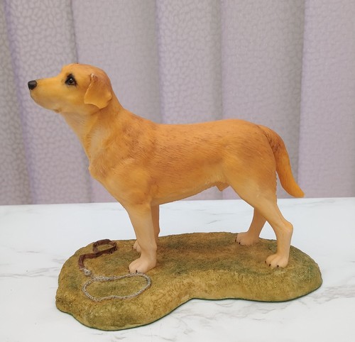 Aynsley labrador dog figurine - aynsley,