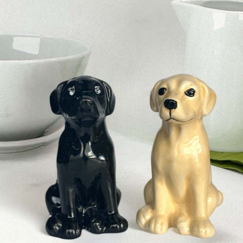 Labrador salt pepper - labrador,