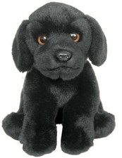 12" Black Labrador teddy