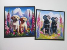 SALE == 2 x LABRADORS IN THE