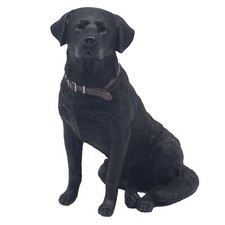 Sitting Black Labrador