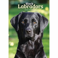 Black Labradors A5 Diary 2026