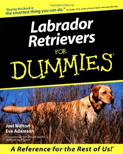 Labrador retrievers for - labrador,