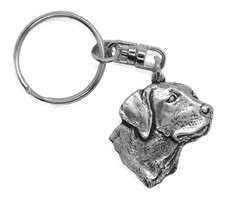 Silvery Labradors Head Dog