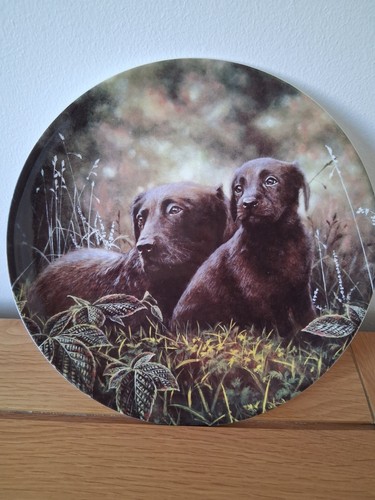 Lovely wedgwood danbury mint - lovely,