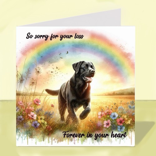 Black labrador dog bereavement - labrador,