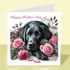 Black Labrador Dog Mother’s