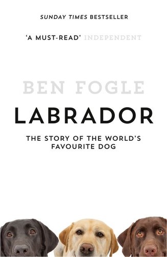 Labrador free - -,