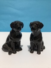 Brown Labrador - Salt & Pepper