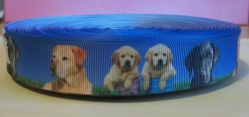 Character ribbon labradors - character,