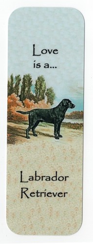 Labrador retriever dog - retriever,