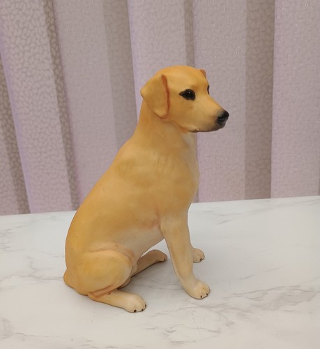Aynsley labrador dog - aynsley, sitting
