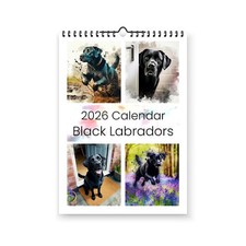 BLACK LABRADORS 2026 WALL