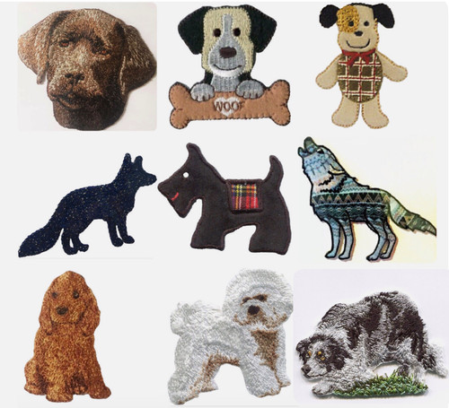 Bichon frise labrador - bichon, frise,