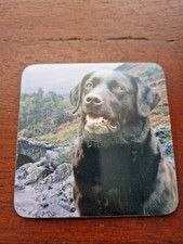 Black Labrador coaster Black