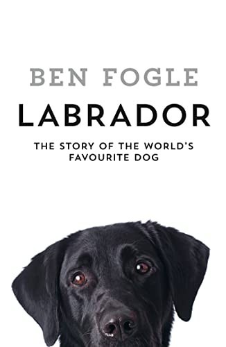 Labrador the story - labrador:,